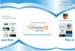 NEI-three-fold-