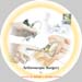 Arthroscopic-Surgery-cd