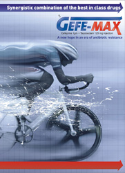 Gefe-max-2-